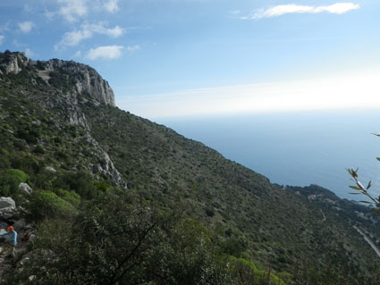 la tete de chien monaco